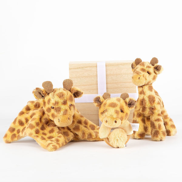 Baby Girl Gifts & Hampers