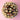 Ferrero Rocher Chocolate