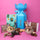 Socks & Choc's Gift Box