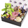 Birthday Donut Box and Teddy