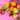 Fruit Box with Cheese hamper- Large