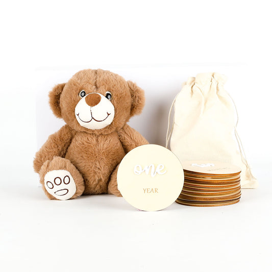 Plush teddy bear with wooden milestone discs on a white background