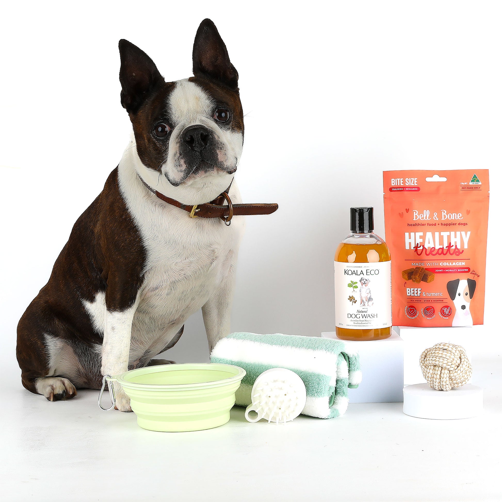 Dog sitting next to pet care products including a bottle of Koala Eco natural dog wash, a bowl, and dog treats on a white background