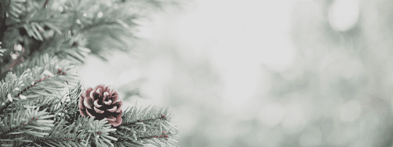 Christmas Tree side angle