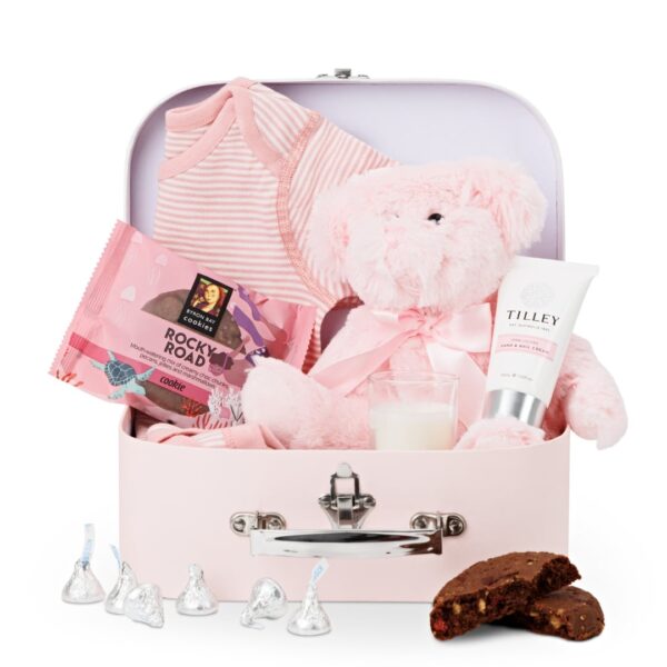 Newborn Baby Girl Gift in Suitcase