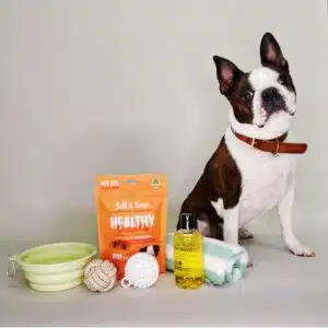 Pampered Pooch Gift