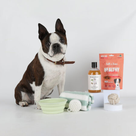 Pampered Pooch Gift